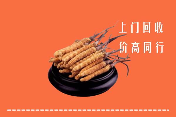 高价求购：朝阳回收散虫草