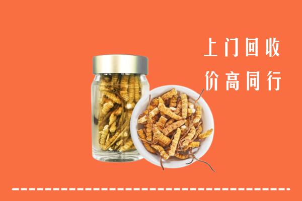 朝阳回收冬虫夏草